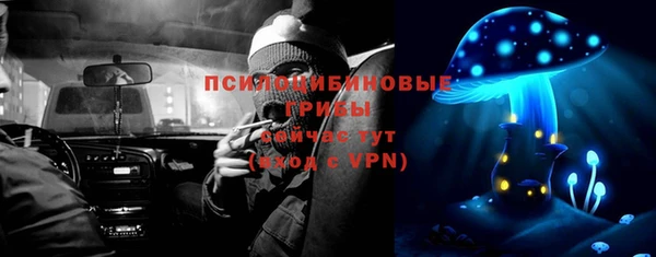 сатива Верхнеуральск